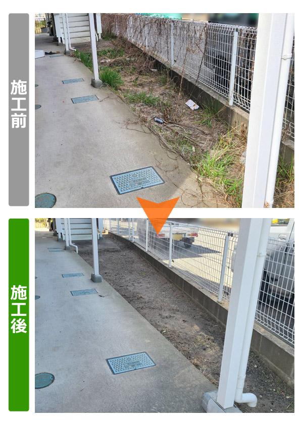 アパート外壁塗装前の敷地内整備・放置物撤去 施工前後写真