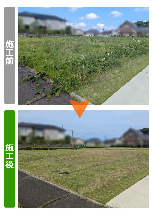 【仙台市泉区】約250坪空き地草刈り(2026年7月)ビフォアアフター写真